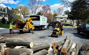 Best Hedge Trimming  in Urbancrest, OH